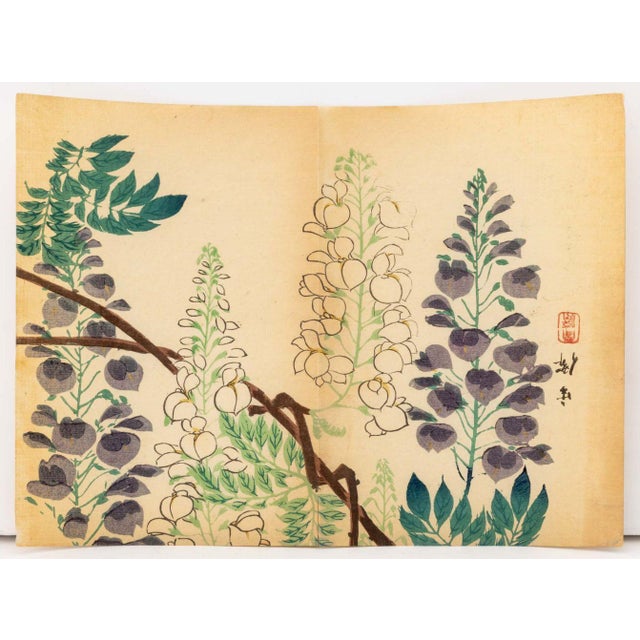 Japanese School Botanical Woodblock Prints, 3 For Sale - Image 12 of 17