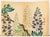 Japanese School Botanical Woodblock Prints, 3 For Sale - Image 12 of 17