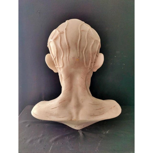After Houdon, Anatomical Bust, Carrara Marble For Sale - Image 10 of 12