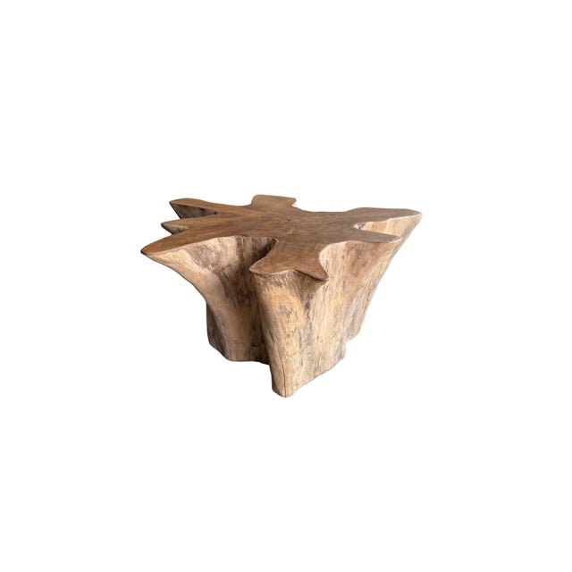 Brown Sculptural Solid Teak Wood Sofa Table With Natural Grain & Bleached Finish For Sale - Image 8 of 11