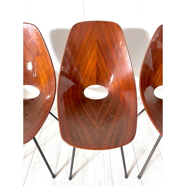 Brown Vintage Medea Chairs by Vittorio Nobili for Fratelli Tagliabue, 1950s, Set of 6 For Sale - Image 8 of 15