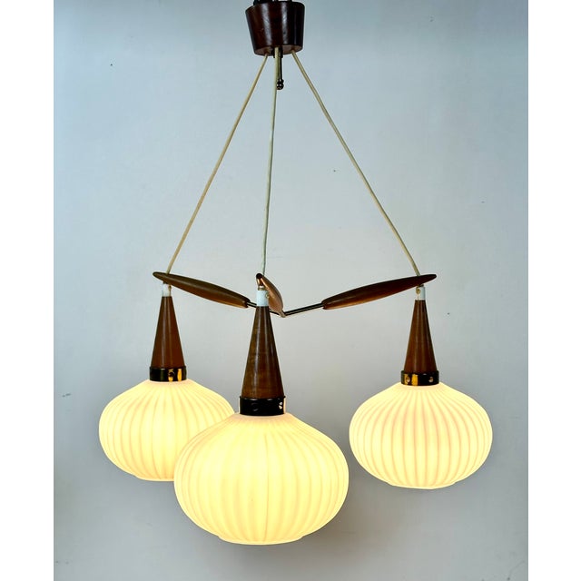 Vintage Scandinavian Chandelier in Brass, Glass, and Teak from Louis Kalff, 1960s For Sale - Image 11 of 12