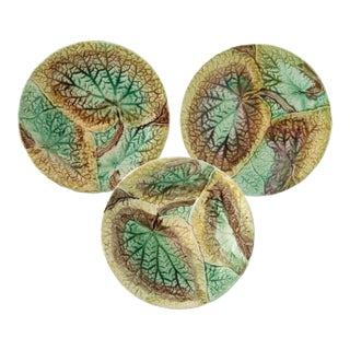 19th-C. English Majolica Begonia Plates For Sale