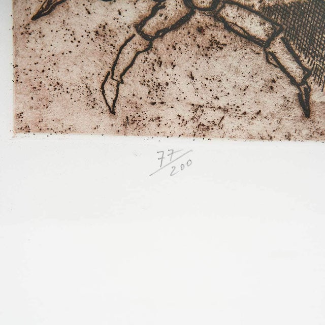 Luciano Minguzzi, Gallo, 2000s, Engraving, Framed For Sale - Image 5 of 6