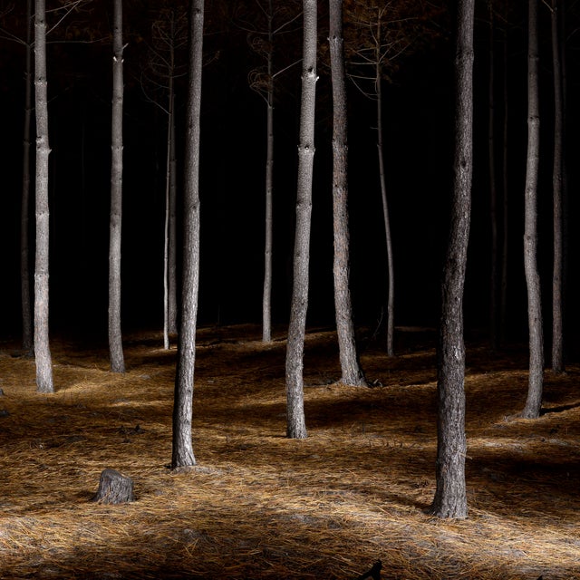 Filipe Condado, Untitled, Photography, in New conditions. Designed from 2000 Signed by Maker,Numbered