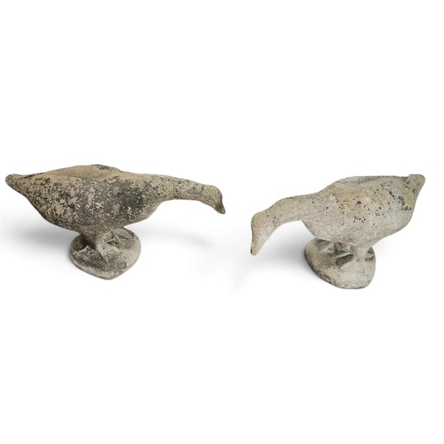 French Provincial 1950s French Weathered Concrete Garden Geese With Lichen Patina, Pair For Sale - Image 3 of 16