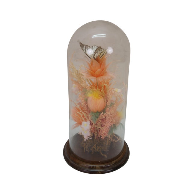 Vintage taxidermy terrarium diorama butterfly and artificial floral arrangement displayed inside a glass apothecary cloche...