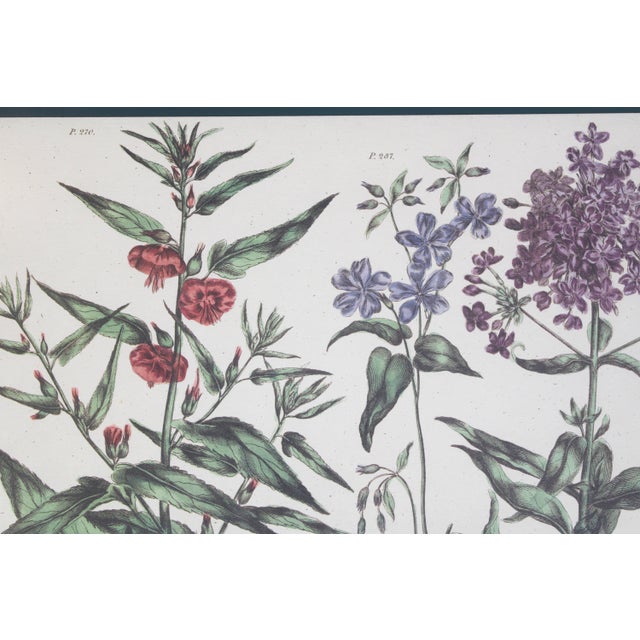 Vintage Botanical Print Tray With Handles For Sale - Image 4 of 12