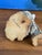 Late 20th Century Carved Puffin Bird on Driftwood, Signed For Sale - Image 5 of 6