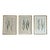 English Grass Botanical Framed Set of 3 - Giclee of Edward Lowe 19th Century Prints For Sale
