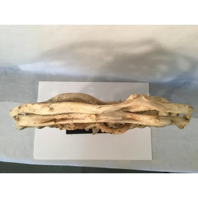 Tan Vine Disc on Iron Stand For Sale - Image 8 of 14