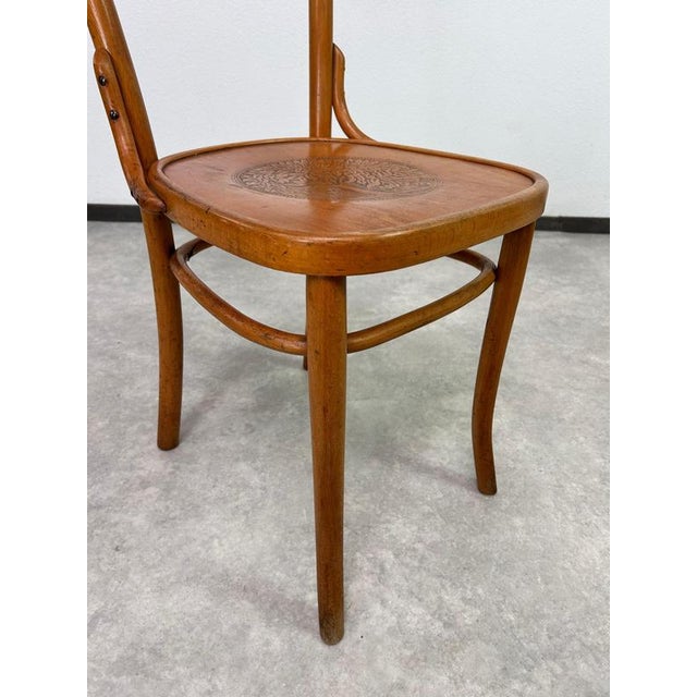 Bentwood Dining Chairs from Thonet, 1930s, Set of 2 For Sale - Image 6 of 11