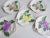 Plate Set with Fruit Decor, 1980s, Set of 5 For Sale - Image 9 of 10