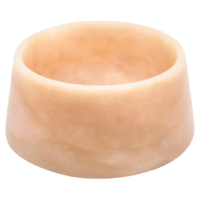 Small Pink Marble Cat or Dog Bowl For Sale