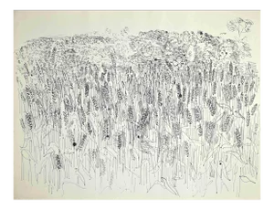 Unknown, Wheat Field, Lithograph, Raoul Dufy, 1933