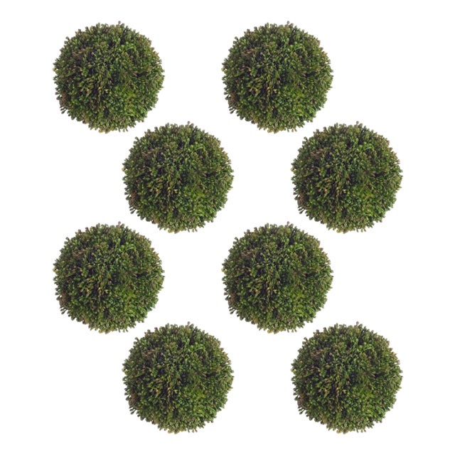 Boxwood Sedum Orb (Set of 8) For Sale