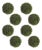 Boxwood Sedum Orb (Set of 8) For Sale