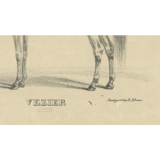 G. Ebner, Arabian Horse Vezier with Groom, Stuttgart 1846, Paper Lithograph For Sale - Image 6 of 9