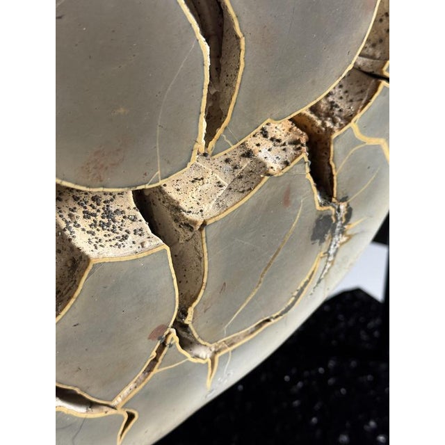Beige Septaria on Custom Stand For Sale - Image 8 of 18