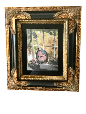 Custom Framed Mandolin Artwork