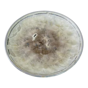 Mid-Century Pottery Plate in Crystalline Glaze of Cream, Blue and Brown