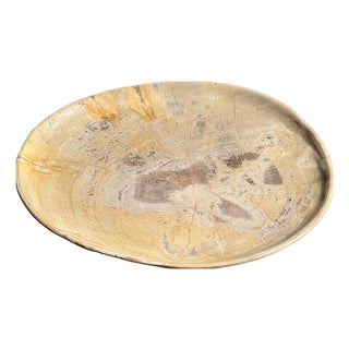 Beige Petrified Wood Trinket Tray or Dish, 1980s For Sale