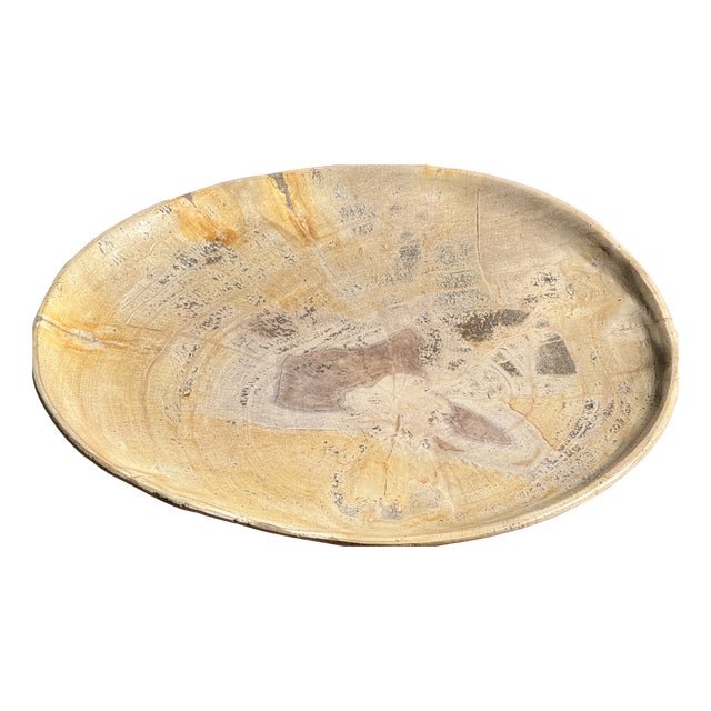 Beige Petrified Wood Trinket Tray or Dish, 1980s For Sale