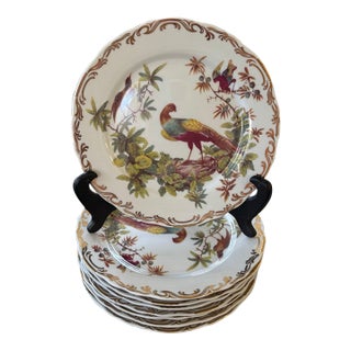Vintage Rutherfords Bird Pattern Lunch Plates- Set of 8 For Sale