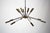 Brass Sputnik 16-Arm Chandelier from Stilnovo, Italy, 1950s For Sale - Image 12 of 12