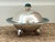 Los Castillo Silver Malachite and Lapis Covered Bowl For Sale - Image 10 of 12