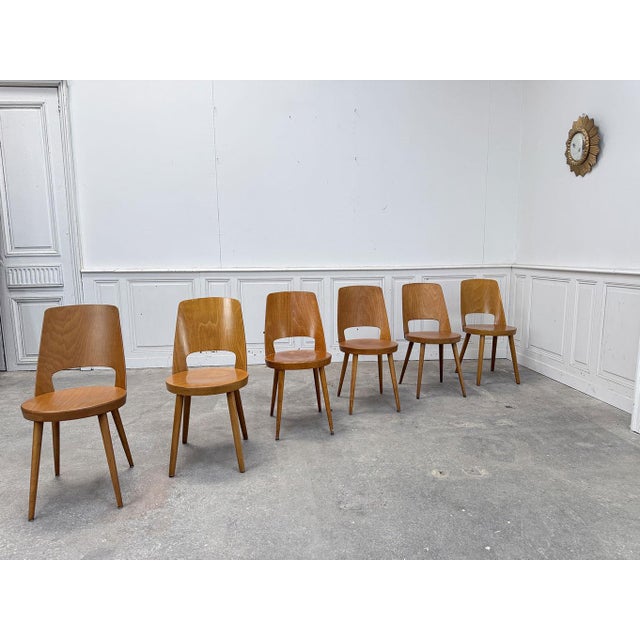 Beechwood Bistro Chairs from Baumann, 1950s, Set of 6 For Sale - Image 8 of 8