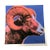 1990s After Andy Warhol "Bighorn Ram" Lithograph For Sale