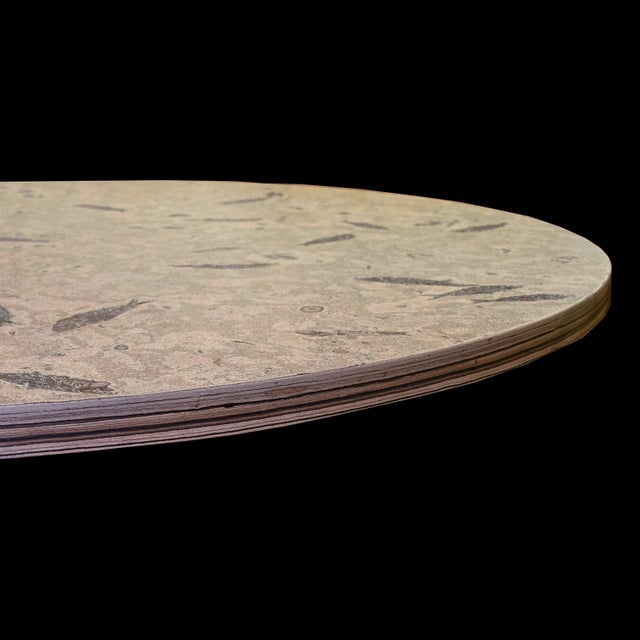 50 Million Year Old Fossil Fish Dining Table, Green River Formation, Wyoming For Sale In Salt Lake City - Image 6 of 6