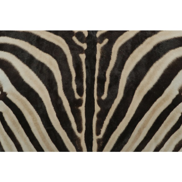 Contemporary Rug & Kilim’s Contemporary Burchell Zebra Hide With Classic Black Stripes For Sale - Image 3 of 9