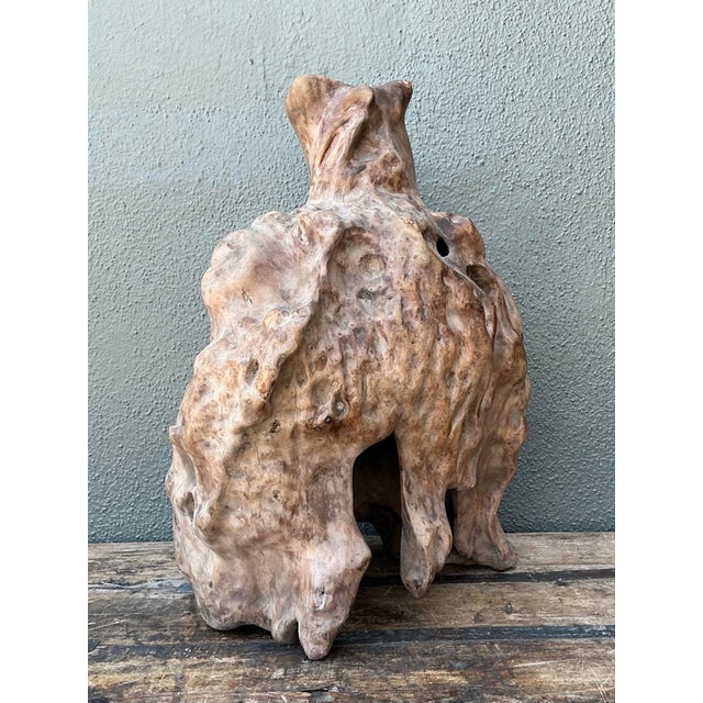 Vintage Organic Wood Knot Sculpture For Sale - Image 11 of 12