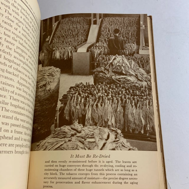 1939 The Story of Lucky Strike For Sale - Image 9 of 12