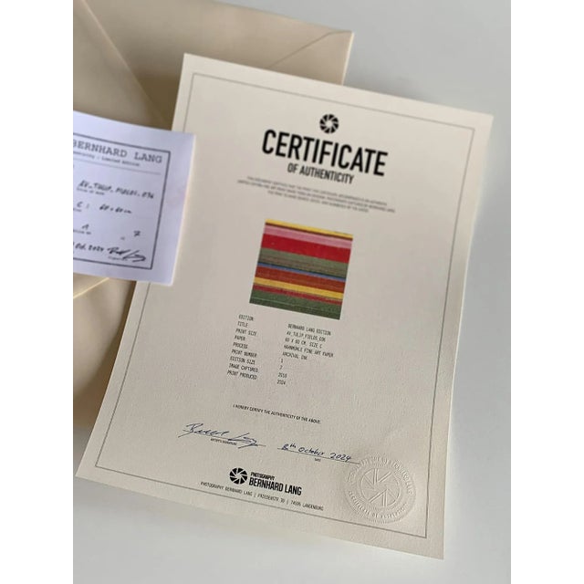 "AV_Tulip_Fields_036" Contemporary Aerial View Limited Edition Photograph by Bernhard Lang For Sale - Image 9 of 11