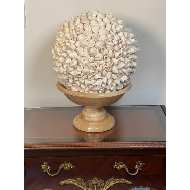 Italian 1960s Sea Shells Globe on Italian Onyx Tazza For Sale - Image 3 of 5