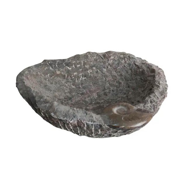Carved Stone Bowl with Goniatite Fossil Detail, Morocco, 2000s For Sale - Image 6 of 6