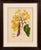 Original antique botanical chromolithograph of yellow saraca (saraca declinata), c. 1880 : a beautiful original antique...