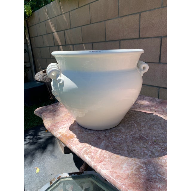 Large Tuscan White Terracotta Planter Cachepot For Sale - Image 4 of 9