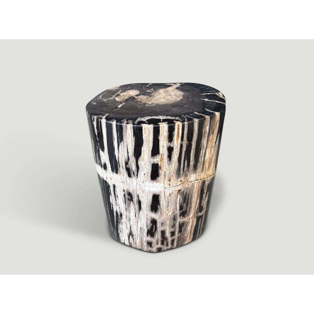 Black Andrianna Shamaris Modern Organic Petrified Wood Side Table For Sale - Image 8 of 8