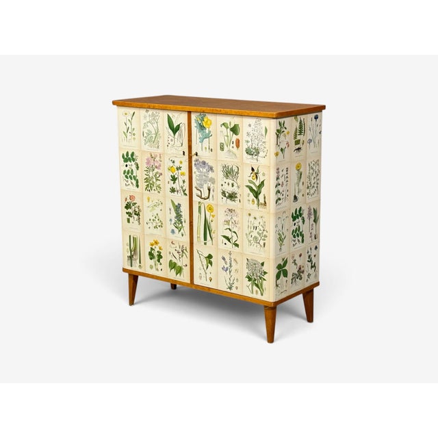 Swedish Modern, Nordens Flora Cabinet, Birch, Floral Lithographs, Sweden, 1940s For Sale - Image 4 of 13