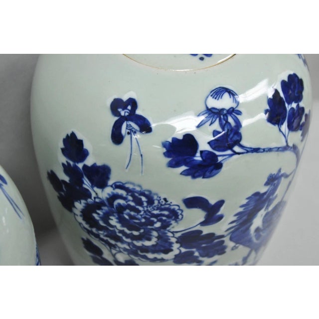 Antique Chinese Phoenix Bird Celadon Green Porcelain Covered Ginger Jar - Pair For Sale - Image 9 of 18