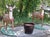 Brown Large Vintage Basketweave Flower Pot Planter Brown Glazed Terracotta For Sale - Image 8 of 8