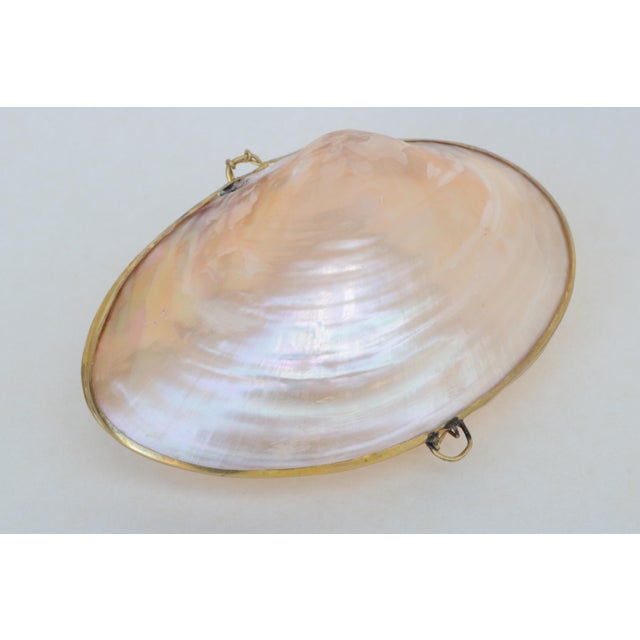 Mother of Pearl Shell Box With Brass Trim For Sale In Madison - Image 6 of 6