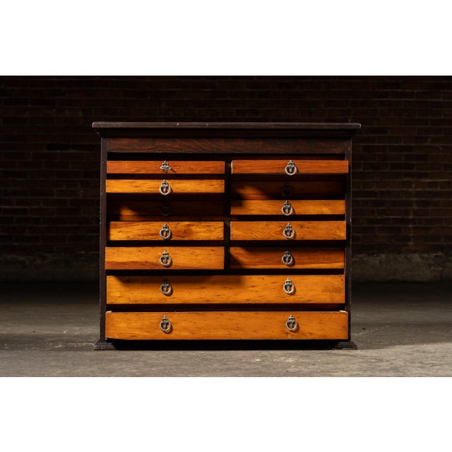 Early 20th Century 16-Drawer Oak Dental Cabinet For Sale - Image 4 of 11