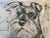 Square Pillow Decorated With a Silver Schnauzer Dog Portrait - Made in the U K For Sale - Image 4 of 12