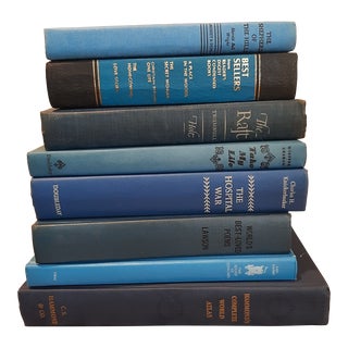 Vintage Bright Blue Books Library Book Stack For Sale