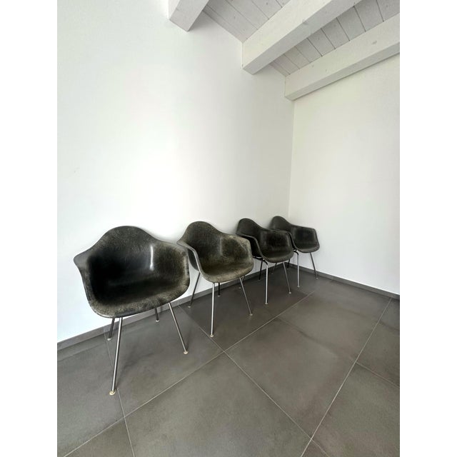 Dax Lounge Chairs by Charles and Ray Eames for Herman Miller, 1950s, Set of 4 For Sale - Image 10 of 13